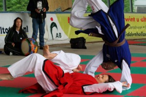 110620 Sportfair 2011_H2