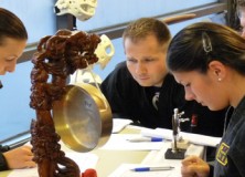 examen-februari-2012