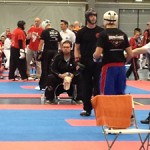 WAKO Dutch Open 2014.1