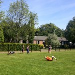 Sportdag Julianaschool.3