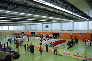 Open KoreaCup WTFsparring.3